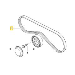 BMW E34 E36 M40 VE M42 MOTOR GATES KLİMA KAYIŞI 64551727378